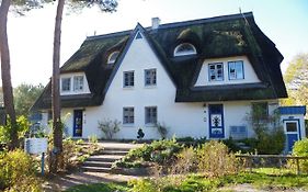 FeWo Sonnenblume Achtern Diek in Zingst